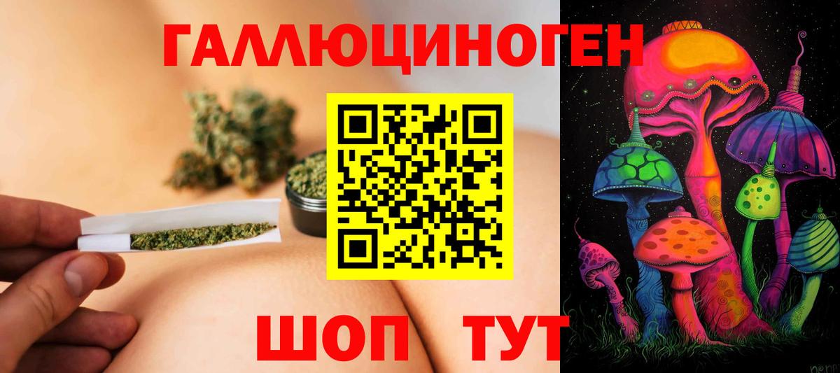 Городец  Галлюциногенные грибы Magic Shrooms  Вход с VPN 